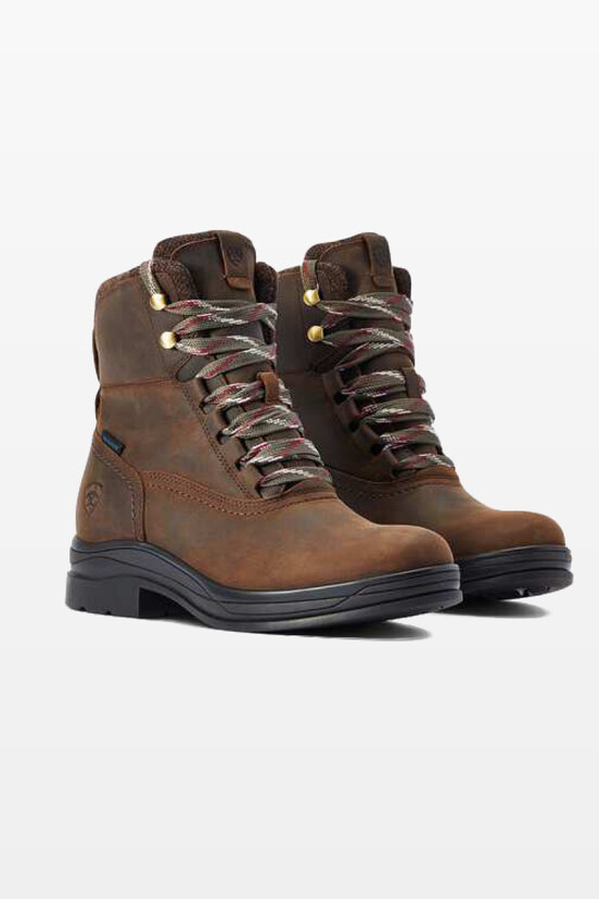  Chaussures d’écurie
