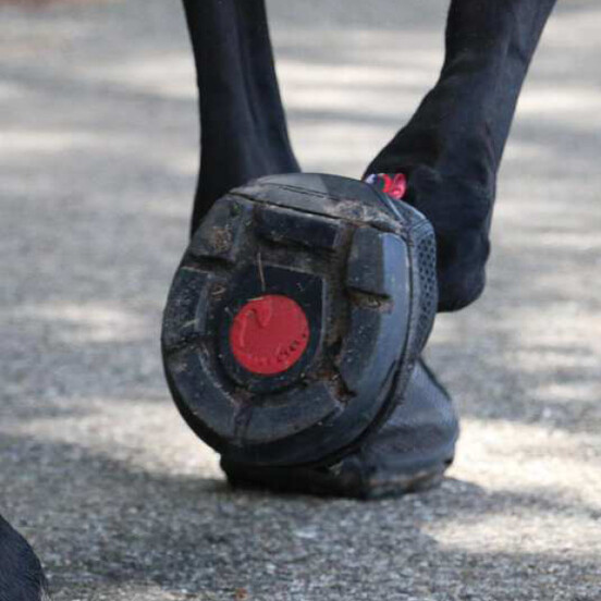 Bottes pour sabots