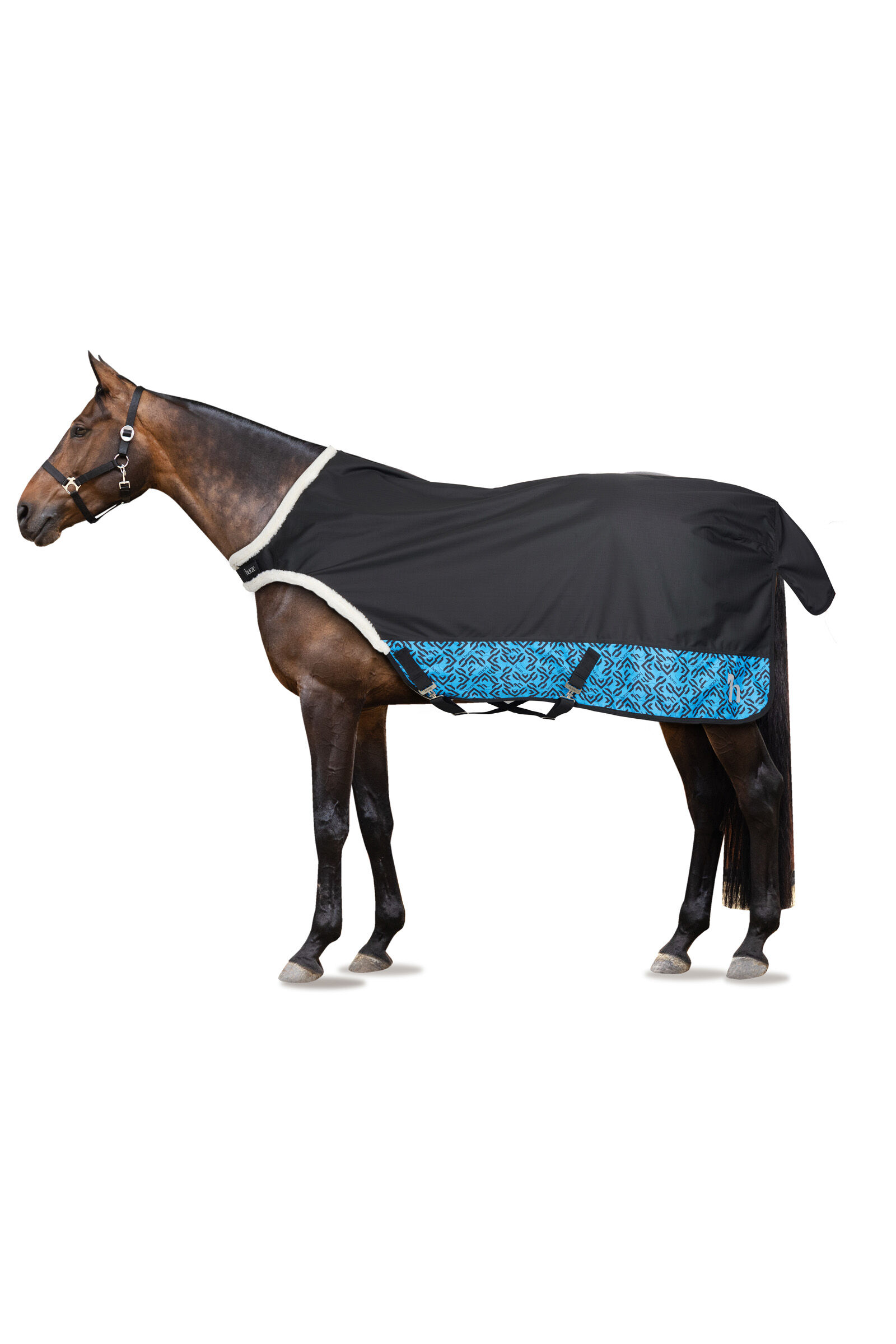 Marcheur pour chevaux a vendre outlet