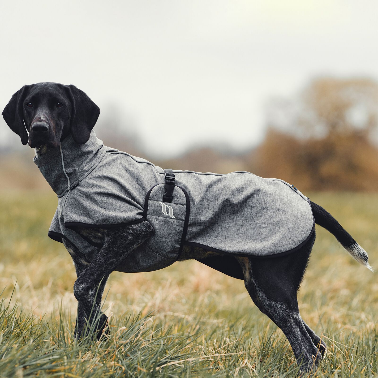 Manteau back on track chien sales