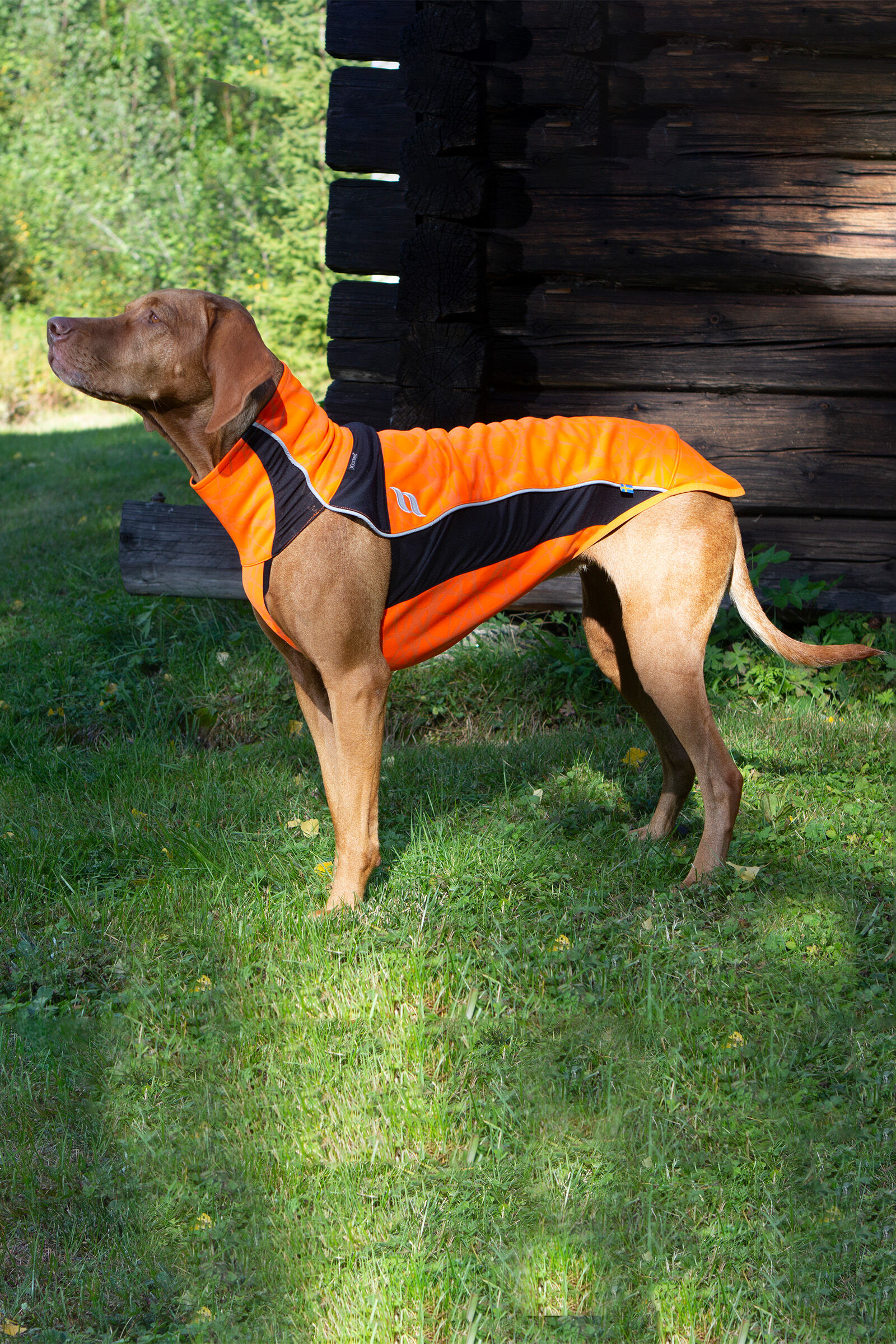 Manteau grand chien 80 cm store