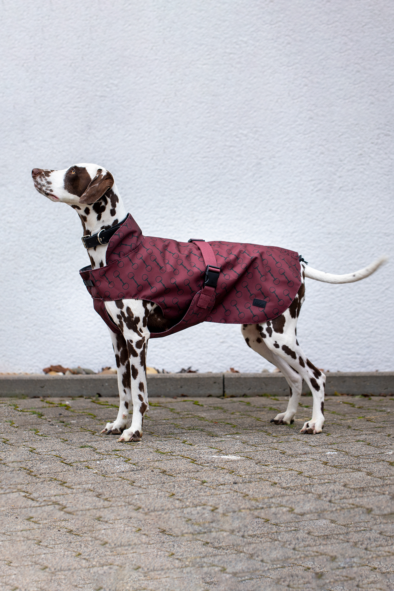 Commandez en ligne Manteau pour chien Horze Noir avec impression