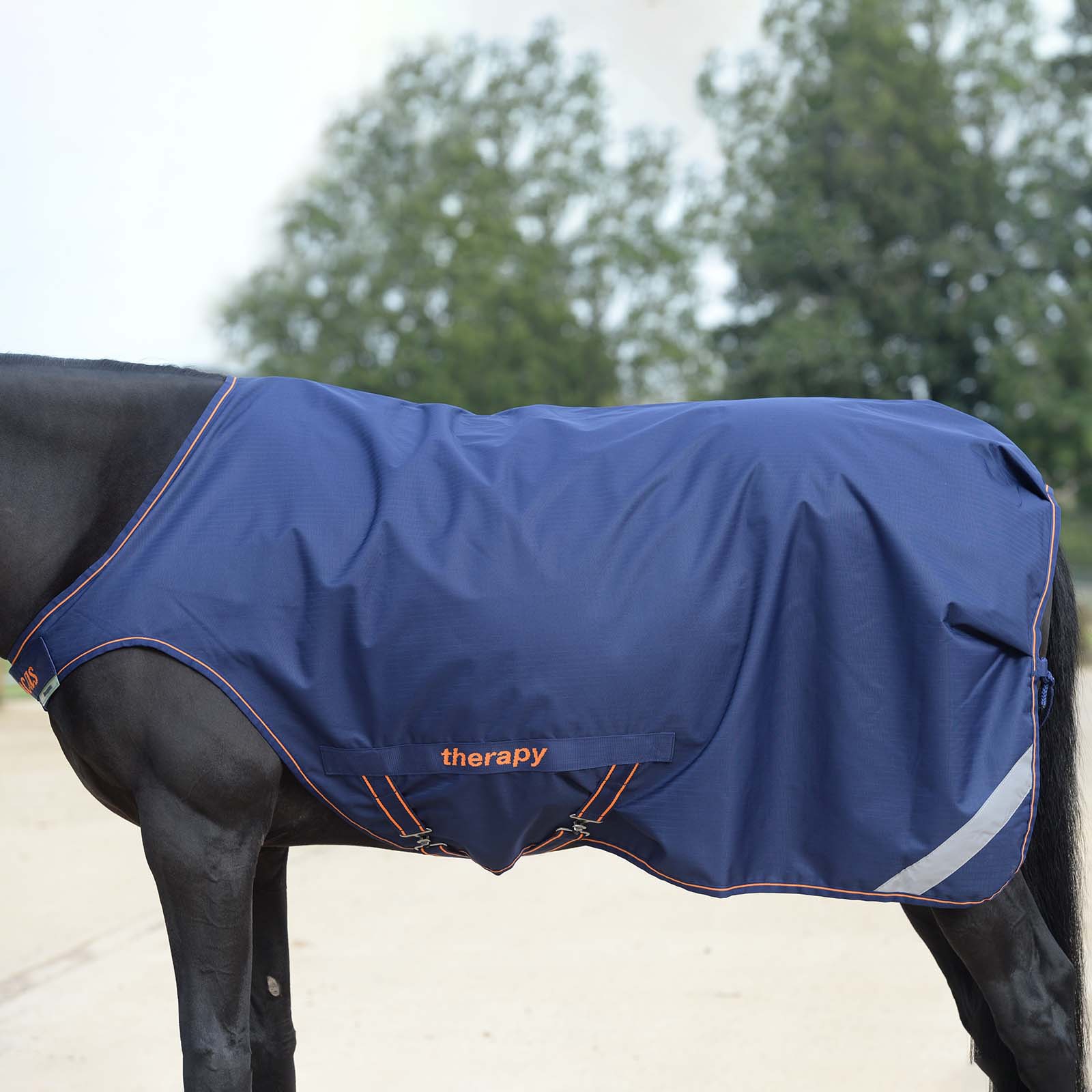 Marcheur chevaux belgique on sale