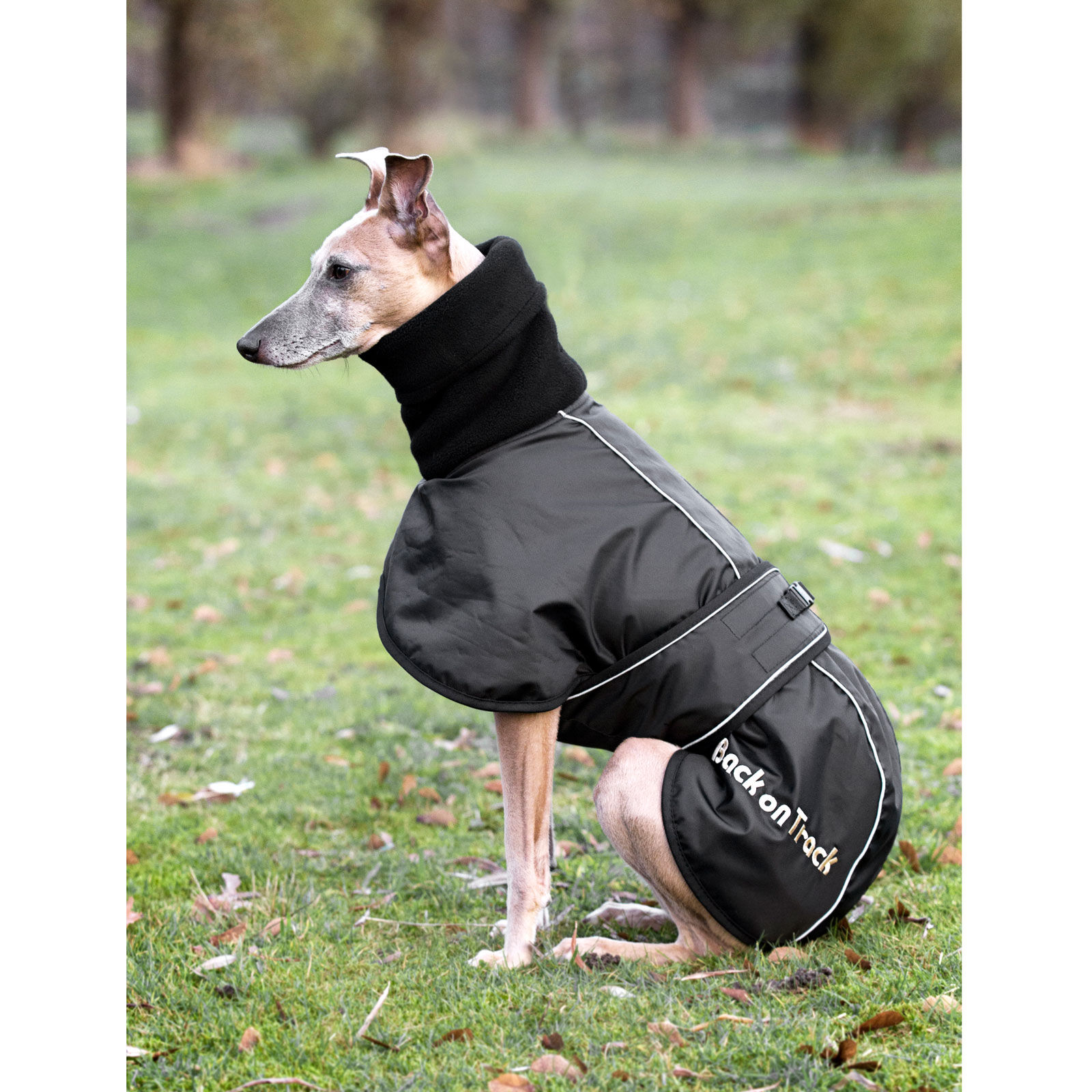 Manteau shop chien xs