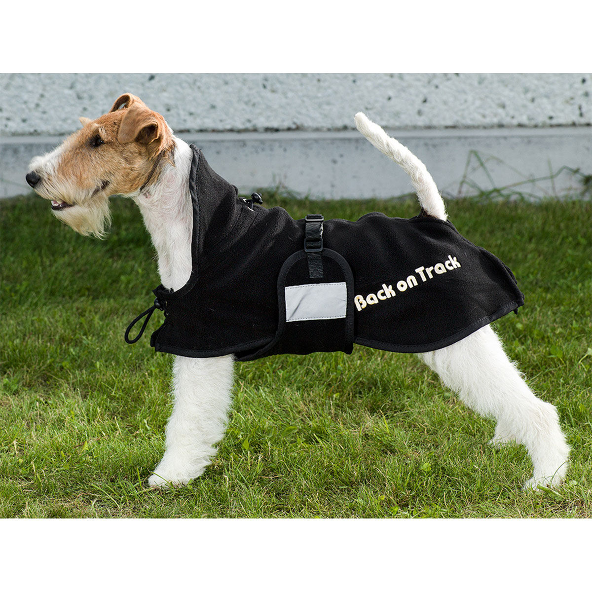 Couverture polaire pour new arrivals chien