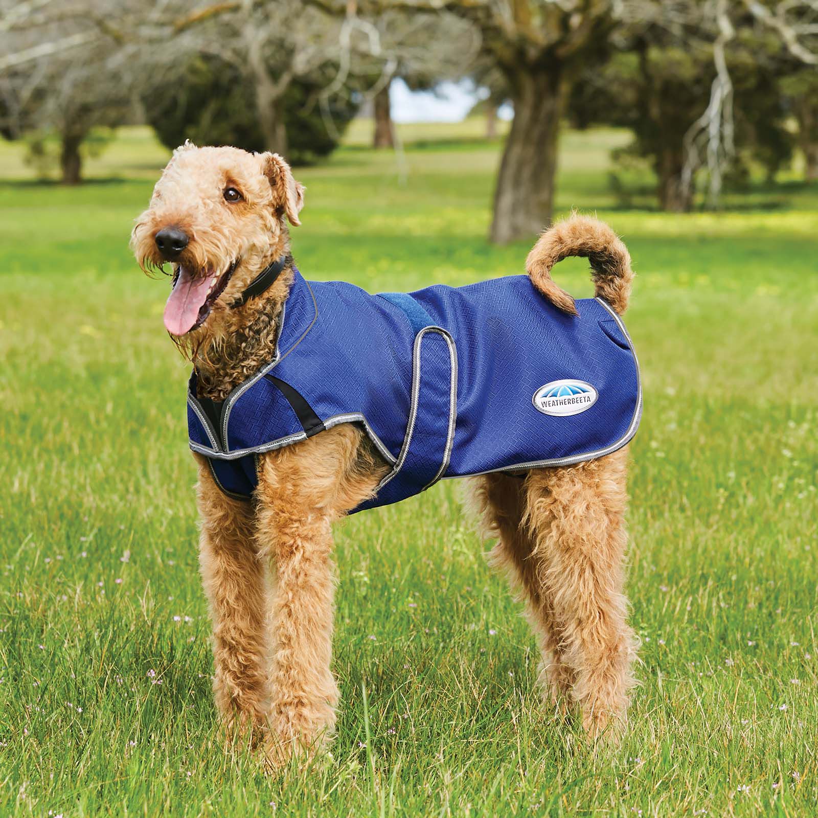 Commandez en ligne Manteau pour chien Parka Deluxe Weatherbeeta Comfitec Premier Free 220 g horze