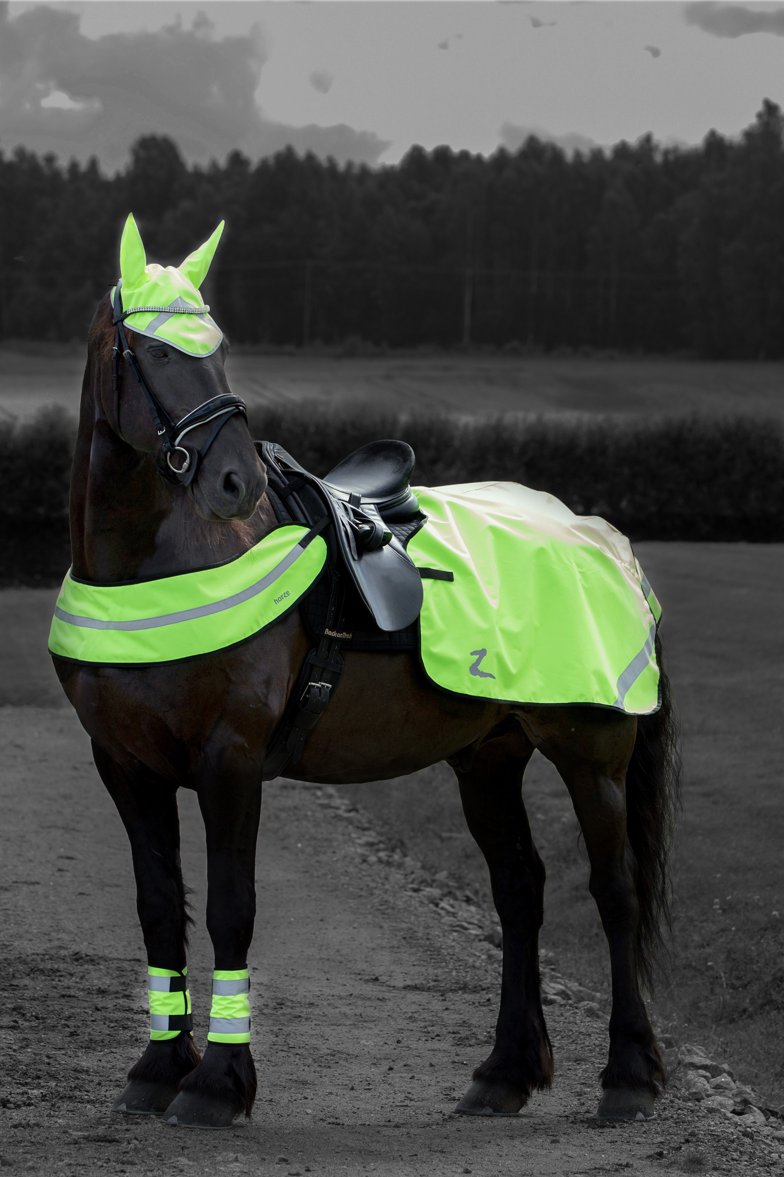 COUVRE REINS FLUO - Sellerie Caballus