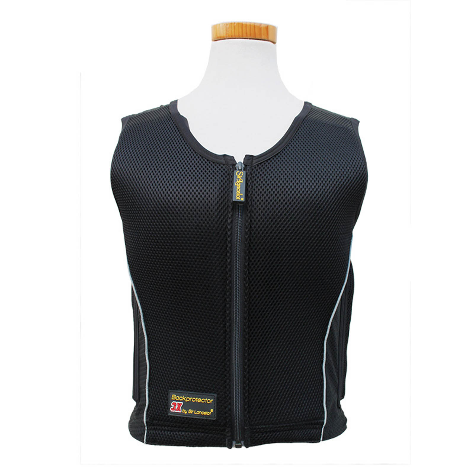 Equitation protection dorsale deals