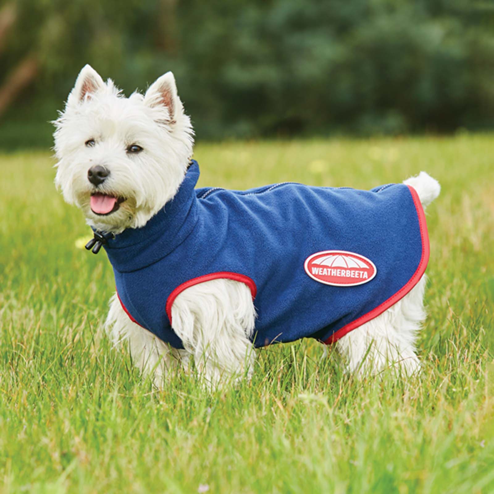 Manteau chien online weatherbeeta