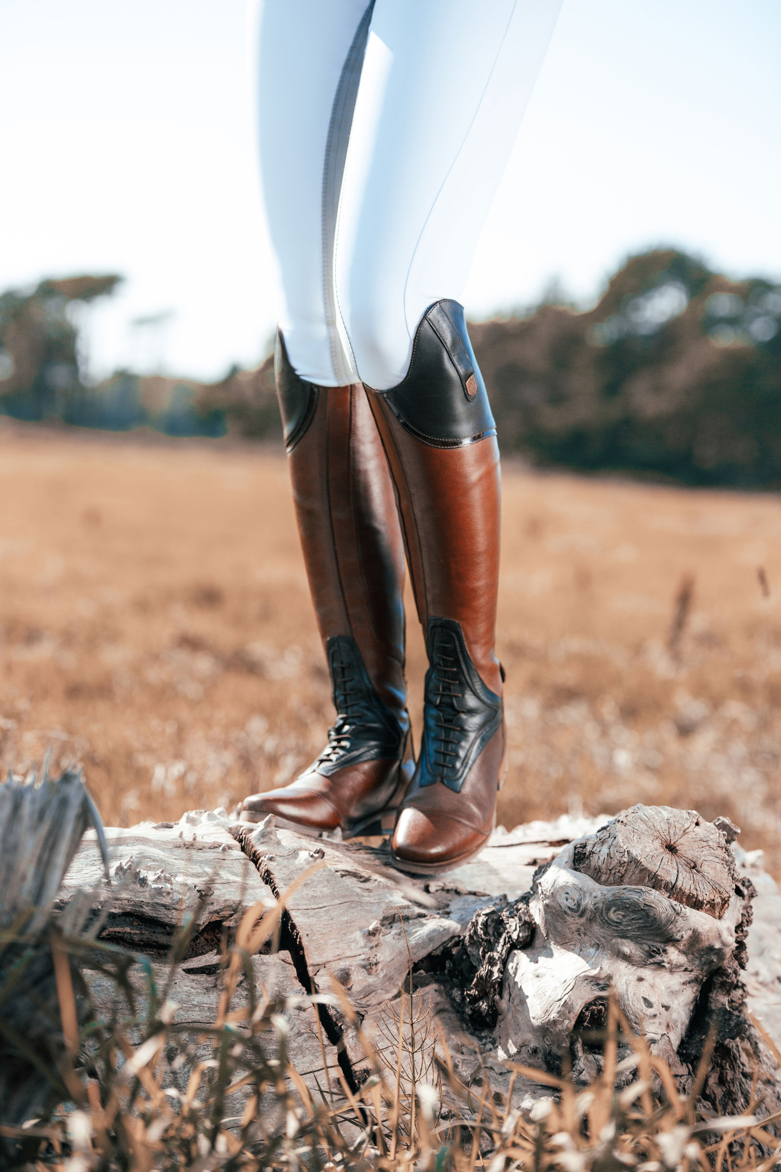 Commandez en ligne Mountain Horse Sovereign High Rider Bottes d Equitation pour Femmes horze