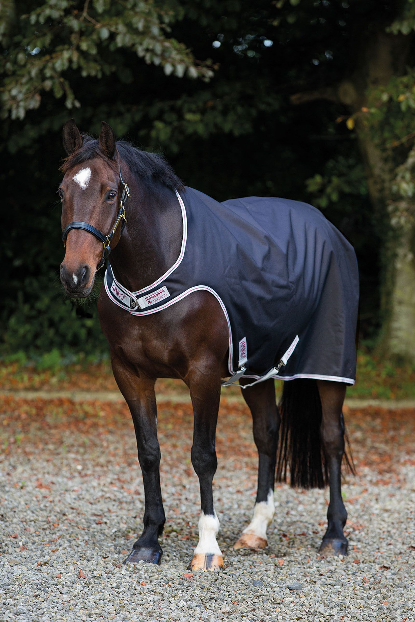 Couvertures de marcheur impermeables a commander en ligne horze