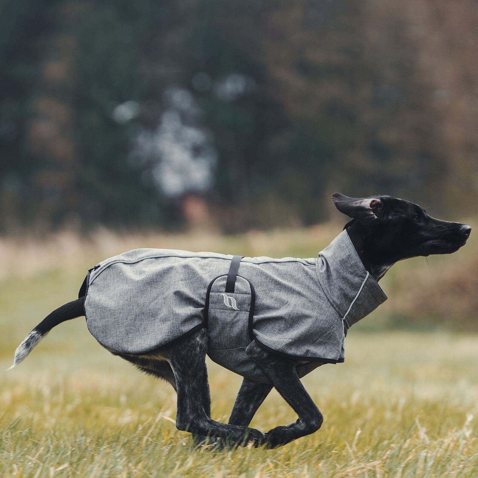 Commandez en ligne Manteau pour chien Back on Track Bark All Round