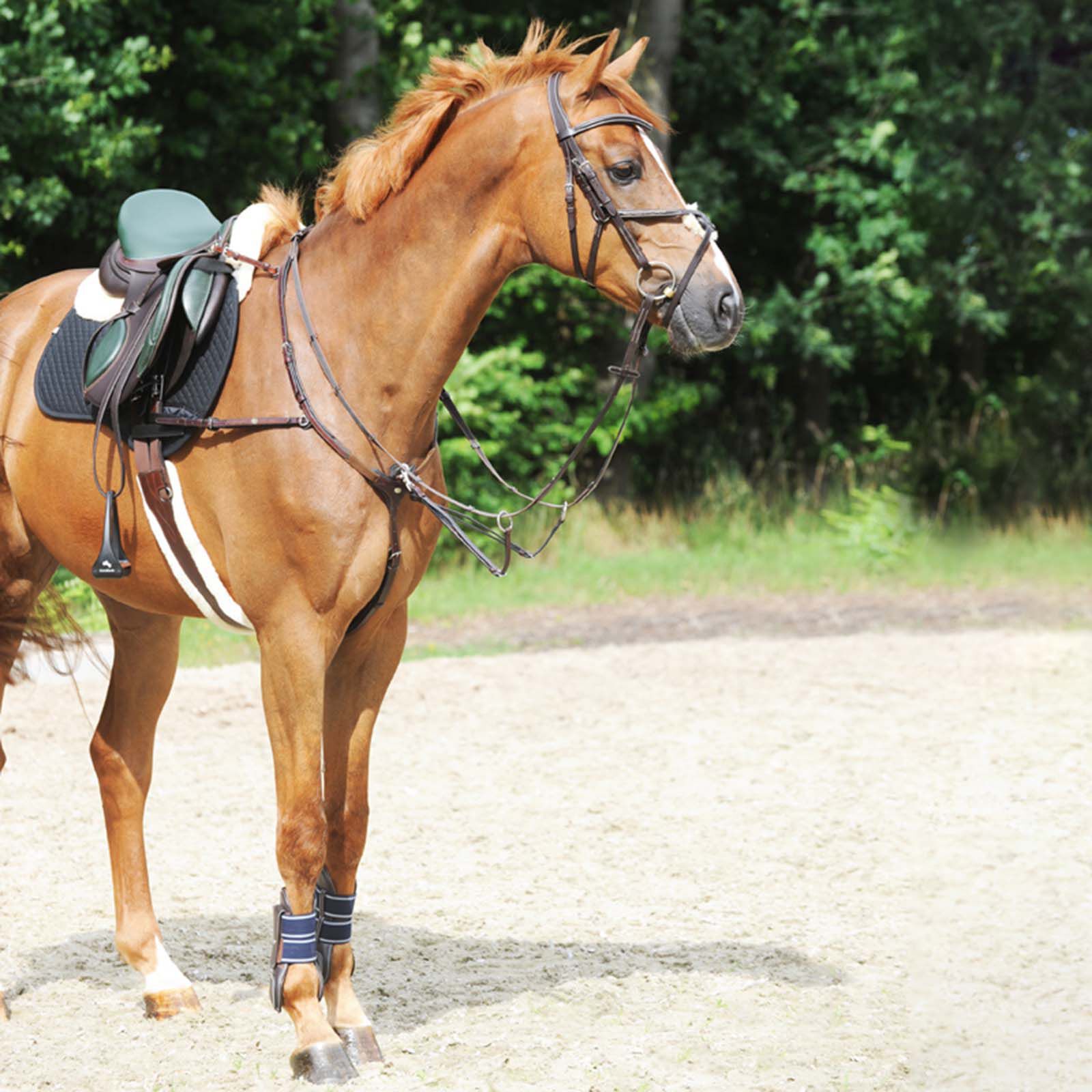 Commandez en ligne Collier de chasse Kavalkade Leyla horze